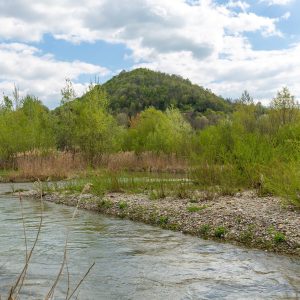 doftana_river (2)-min